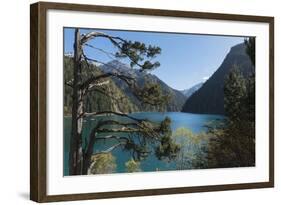 Long Lake, Jiuzhaigou National Park, UNESCO World Heritage Site, Sichuan Province, China, Asia-G & M Therin-Weise-Framed Photographic Print