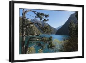 Long Lake, Jiuzhaigou National Park, UNESCO World Heritage Site, Sichuan Province, China, Asia-G & M Therin-Weise-Framed Photographic Print