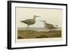 Long-Legged Sandpiper-John James Audubon-Framed Art Print