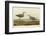 Long-Legged Sandpiper-John James Audubon-Framed Giclee Print