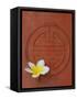 Long Life Symbol and Lotus Flower-Sebastien Desarmaux-Framed Stretched Canvas