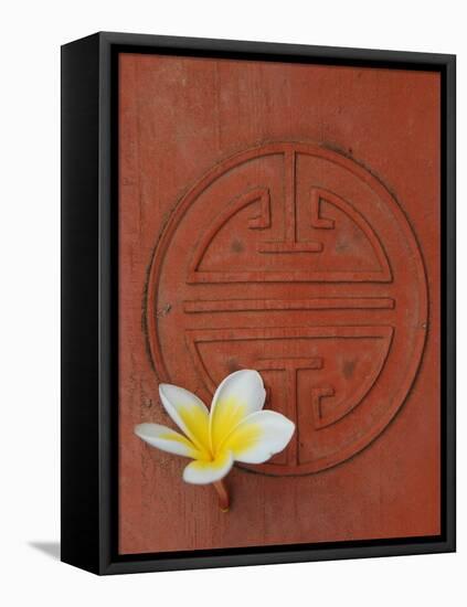 Long Life Symbol and Lotus Flower-Sebastien Desarmaux-Framed Stretched Canvas