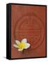 Long Life Symbol and Lotus Flower-Sebastien Desarmaux-Framed Stretched Canvas