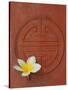 Long Life Symbol and Lotus Flower-Sebastien Desarmaux-Stretched Canvas