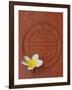 Long Life Symbol and Lotus Flower-Sebastien Desarmaux-Framed Photographic Print