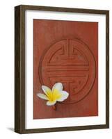 Long Life Symbol and Lotus Flower-Sebastien Desarmaux-Framed Photographic Print