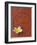 Long Life Symbol and Lotus Flower-Sebastien Desarmaux-Framed Photographic Print