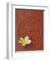 Long Life Symbol and Lotus Flower-Sebastien Desarmaux-Framed Photographic Print