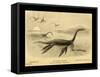 Long Necked Sea Lizard-Joseph Smit-Framed Stretched Canvas