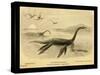 Long Necked Sea Lizard-Joseph Smit-Stretched Canvas