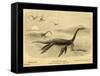 Long Necked Sea Lizard-Joseph Smit-Framed Stretched Canvas