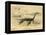 Long Necked Sea Lizard-Joseph Smit-Framed Stretched Canvas