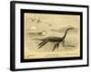 Long Necked Sea Lizard-Joseph Smit-Framed Art Print