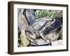 Long-Nosed Horned Frog or Malayan Horned Frog (Megophrys Nasuta), Megophryidae-null-Framed Giclee Print