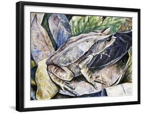 Long-Nosed Horned Frog or Malayan Horned Frog (Megophrys Nasuta), Megophryidae-null-Framed Giclee Print