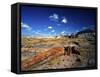 Long Petrified Log at Blue Mesa, Petrified Forest National Park, Arizona, USA-Bernard Friel-Framed Stretched Canvas