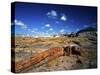 Long Petrified Log at Blue Mesa, Petrified Forest National Park, Arizona, USA-Bernard Friel-Stretched Canvas