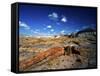 Long Petrified Log at Blue Mesa, Petrified Forest National Park, Arizona, USA-Bernard Friel-Framed Stretched Canvas