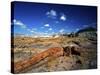 Long Petrified Log at Blue Mesa, Petrified Forest National Park, Arizona, USA-Bernard Friel-Stretched Canvas