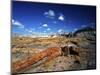 Long Petrified Log at Blue Mesa, Petrified Forest National Park, Arizona, USA-Bernard Friel-Mounted Photographic Print