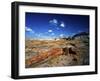 Long Petrified Log at Blue Mesa, Petrified Forest National Park, Arizona, USA-Bernard Friel-Framed Photographic Print