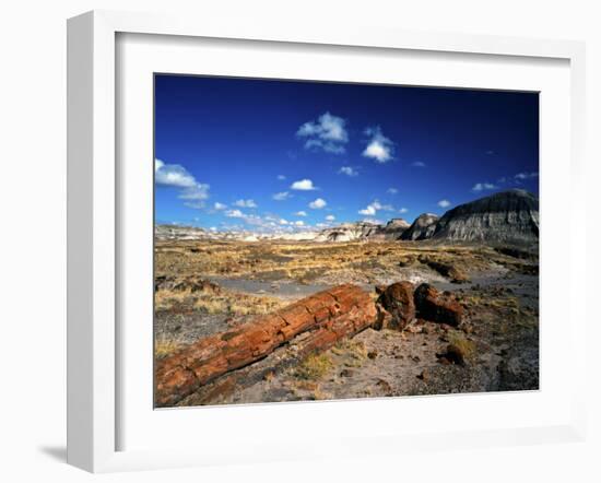 Long Petrified Log at Blue Mesa, Petrified Forest National Park, Arizona, USA-Bernard Friel-Framed Photographic Print