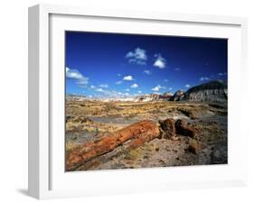 Long Petrified Log at Blue Mesa, Petrified Forest National Park, Arizona, USA-Bernard Friel-Framed Photographic Print