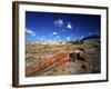 Long Petrified Log at Blue Mesa, Petrified Forest National Park, Arizona, USA-Bernard Friel-Framed Photographic Print