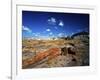 Long Petrified Log at Blue Mesa, Petrified Forest National Park, Arizona, USA-Bernard Friel-Framed Photographic Print