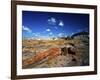 Long Petrified Log at Blue Mesa, Petrified Forest National Park, Arizona, USA-Bernard Friel-Framed Photographic Print