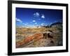 Long Petrified Log at Blue Mesa, Petrified Forest National Park, Arizona, USA-Bernard Friel-Framed Photographic Print