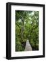 Long pier over a swamp, Kosrae, Federated States of Micronesia, South Pacific-Michael Runkel-Framed Photographic Print