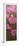 Long Pink Poppies-Cherie Roe Dirksen-Framed Premium Giclee Print