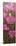 Long Pink Poppies-Cherie Roe Dirksen-Mounted Giclee Print