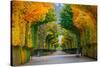 Long Road in Autumn Park-badahos-Stretched Canvas