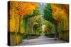 Long Road in Autumn Park-badahos-Stretched Canvas