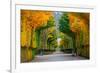 Long Road in Autumn Park-badahos-Framed Photographic Print