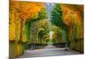 Long Road in Autumn Park-badahos-Mounted Photographic Print