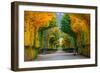 Long Road in Autumn Park-badahos-Framed Photographic Print