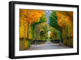 Long Road in Autumn Park-badahos-Framed Photographic Print