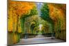 Long Road in Autumn Park-badahos-Mounted Photographic Print