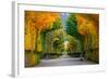 Long Road in Autumn Park-badahos-Framed Photographic Print