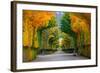 Long Road in Autumn Park-badahos-Framed Photographic Print