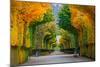 Long Road in Autumn Park-badahos-Mounted Photographic Print