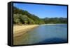 Long Sandy Beach, Abel Tasman National Park, South Island, New Zealand, Pacific-Michael-Framed Stretched Canvas