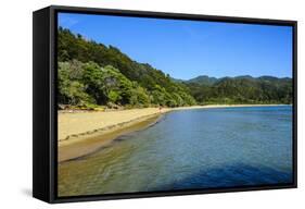 Long Sandy Beach, Abel Tasman National Park, South Island, New Zealand, Pacific-Michael-Framed Stretched Canvas