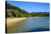 Long Sandy Beach, Abel Tasman National Park, South Island, New Zealand, Pacific-Michael-Stretched Canvas