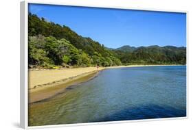 Long Sandy Beach, Abel Tasman National Park, South Island, New Zealand, Pacific-Michael-Framed Photographic Print