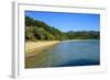 Long Sandy Beach, Abel Tasman National Park, South Island, New Zealand, Pacific-Michael-Framed Photographic Print