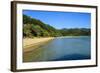 Long Sandy Beach, Abel Tasman National Park, South Island, New Zealand, Pacific-Michael-Framed Photographic Print